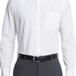 Van Heusen Men's Dress Shirt Regular Fit Poplin