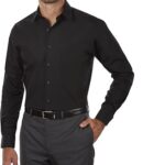 Van Heusen Men's Dress Shirt Regular Fit Poplin