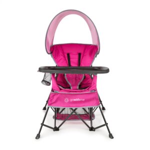 Baby Delight Go with Me Venture Portable Chair |