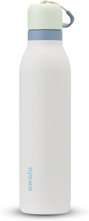 Owala FreeSip Twist Insulated Stainless Steel