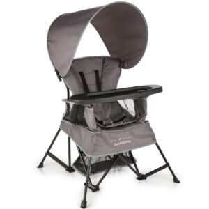Baby Delight Go with Me Venture Portable Chair |