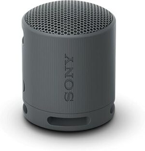 Sony SRS-XB100 Wireless Bluetooth Portable