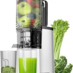 Cold Press Juicer, 5.8" Wide Feed Chute Juice