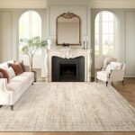 Washable Area Rug 8x10, Large Soft Rugs for