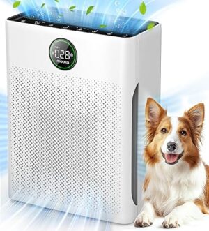 Air Purifiers for Home Large Room up to