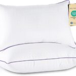 JOLLYVOGUE Pillows Queen Size Set of 2, Medium