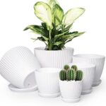 Plant Pots Indoor with Saucers & Drainage - 6