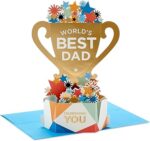Hallmark Paper Wonder Pop Up Father's Day Card