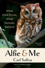 Alfie and Me: What Owls Know, What Humans