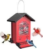 Squirrel Proof Bird Feeder Outside Hanging- 5LB